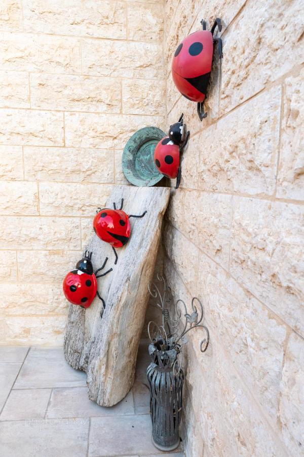 Hotel House Of Art Arad Exterior foto